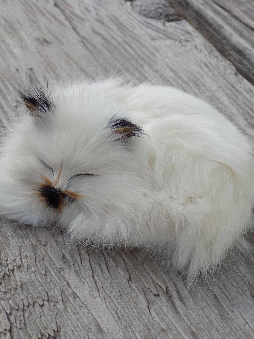KITTEN Siamese w Rabbit Fur, Realistic, Farmhouse Decor,